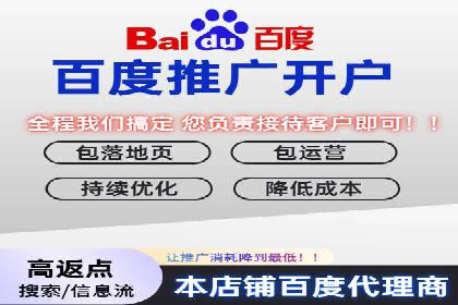 深度解析：百度竞价广告的投放效果与ROI